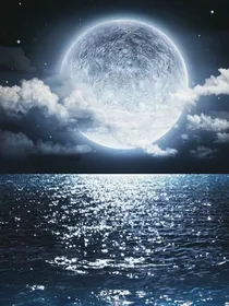恨意的血色曙光