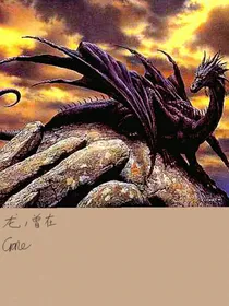 龙，曾在