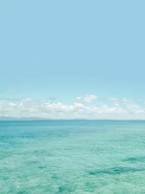 提灯映月
