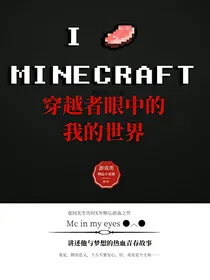 穿越者眼中的我的世界
