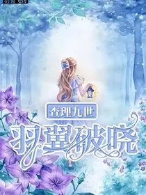 查理九世：羽翼破晓