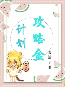 计划，攻略金