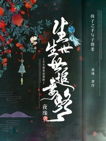 生生世世追妻路