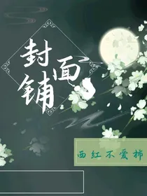 西红不是柿封面铺