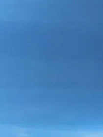 叶岚的命运ʚ岚昭ɞ