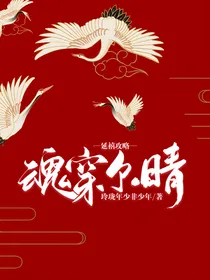 延禧攻略：魂穿尔晴