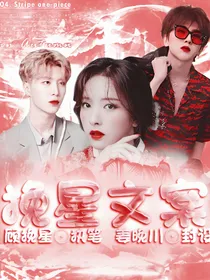 挽星文案