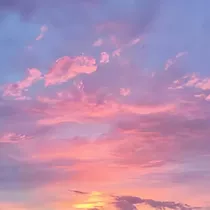 她说：你的深情来迟了
