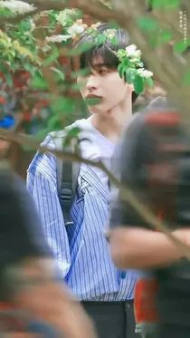 娱乐圈：王八成年了
