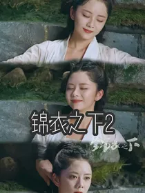 锦衣之下一前世过往