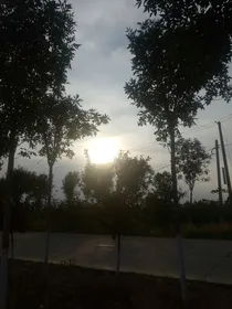 不一样的小故事-d279