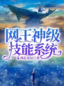 网王神级技能系统