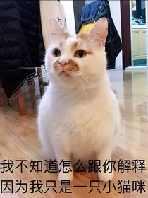 综影视之这操作有点东西啊