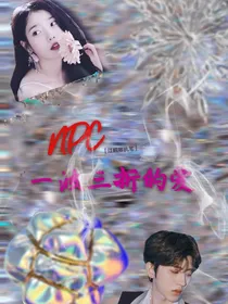 NPC：一波三折的爱