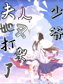 少爷，夫人她又打架了