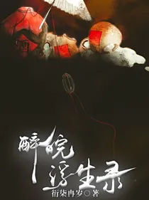 醉皖浮生录