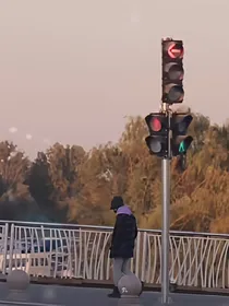 花与恶