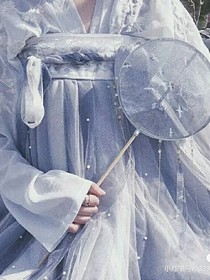 重生之穿越日记