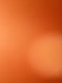 梦龙记