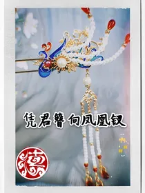 凭君簪向凤凰钗