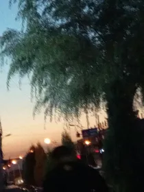 恰似星辰坠凡尘