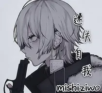 查理九世之不堪的过往