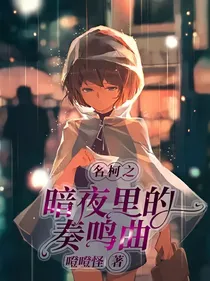 名柯之暗夜里的奏鸣曲