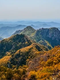 狗蛋方丈