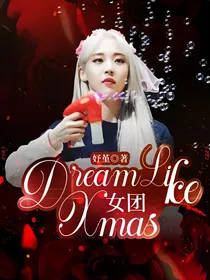 DreamLikeXmas女团
