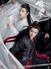 陈情令之瞎子的穿越旅程