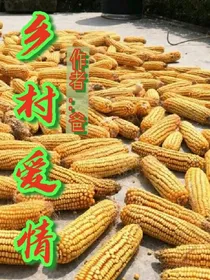 乡村爱情：孔令x温小琪