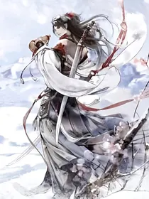 齐天风云录