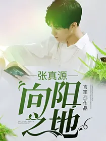 张真源：向阳之地