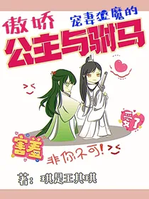 傲娇公主与宠妻狂魔的驸马