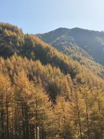 叶罗丽之火娘子在仙境的辣些连
