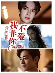王一博：姐姐，我非你不爱