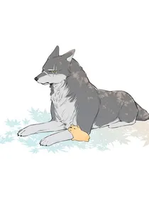 谢谢你不再见