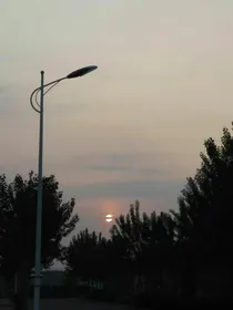 全明星：重启前传之云轩阁阁主