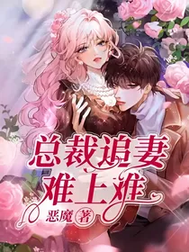 总裁追妻难上难