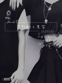 总裁的小黑客-d210