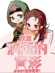 双军佣空：消逝的背影