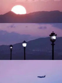顾医生，轻点宠