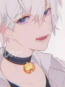 光彩的一生
