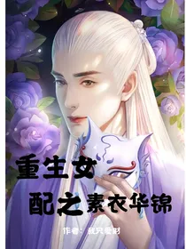 重生女配之素衣华锦