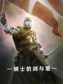 骑士的剑与盾
