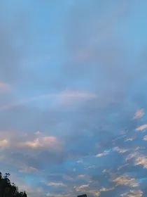 生死相依情未了