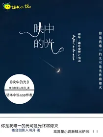 映中的光