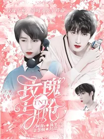 TNT：玫瑰与枪