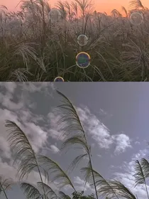 随笔嗯