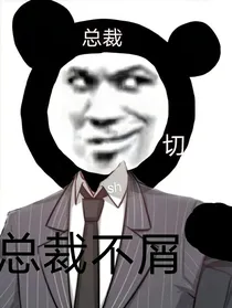 沙雕总裁文之神反转